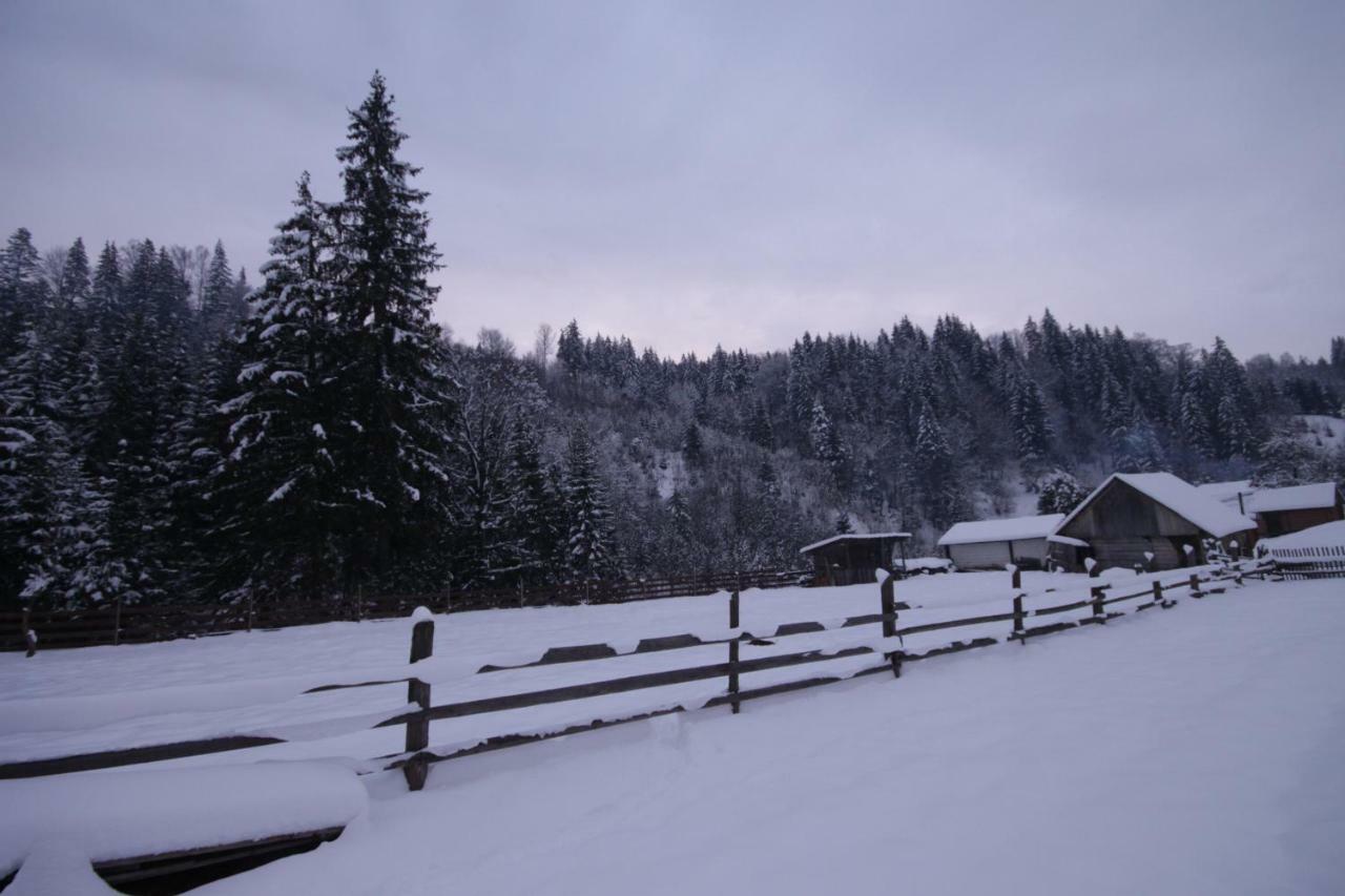 Ozdoba Villa Verkhovyna Luaran gambar
